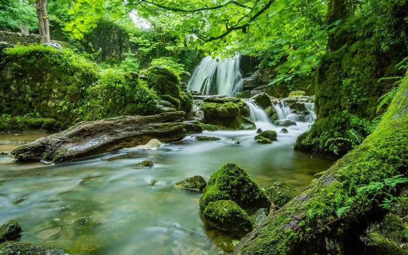 智能系统稳定性高端